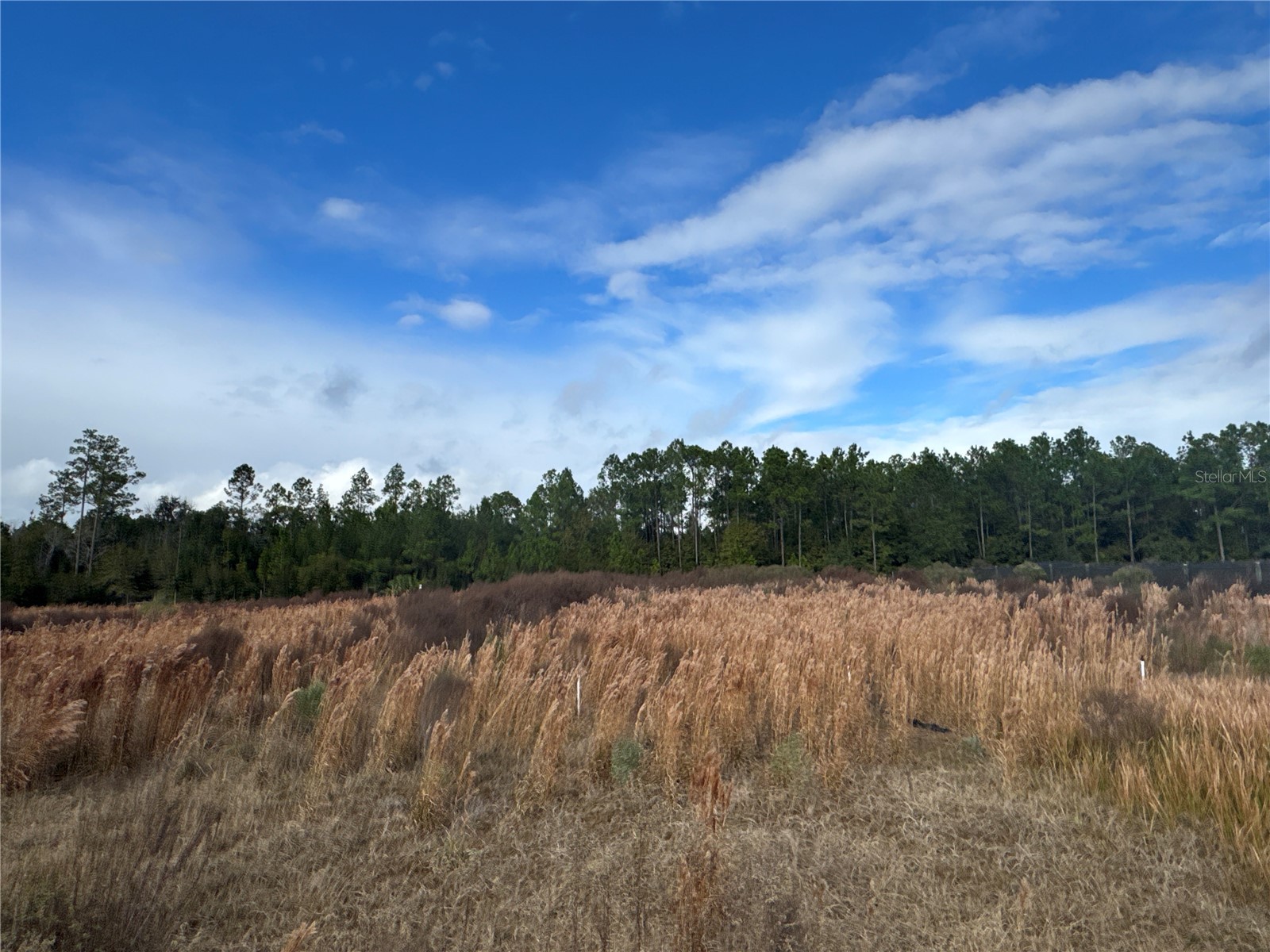 21665 SE 177th Avenue Hawthorne FL 32640 OM715778 image13