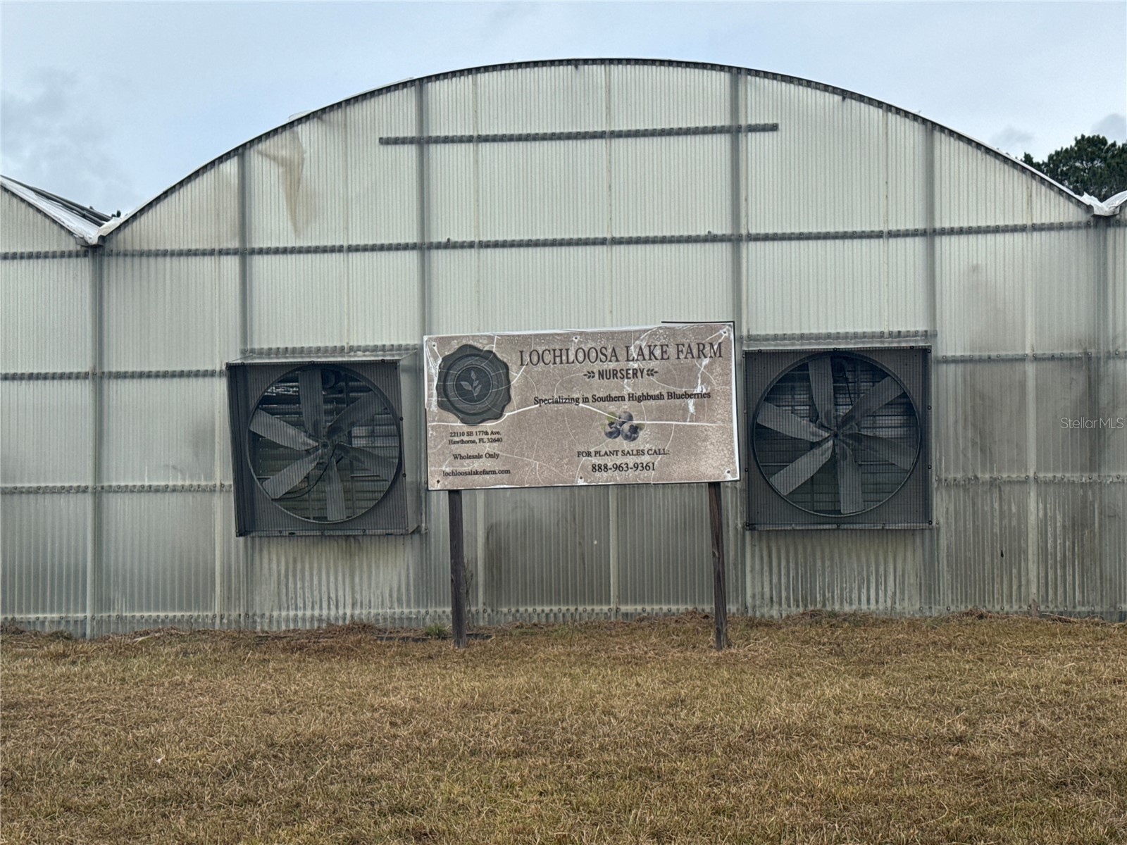 21665 SE 177th Avenue Hawthorne FL 32640 OM715778 image2