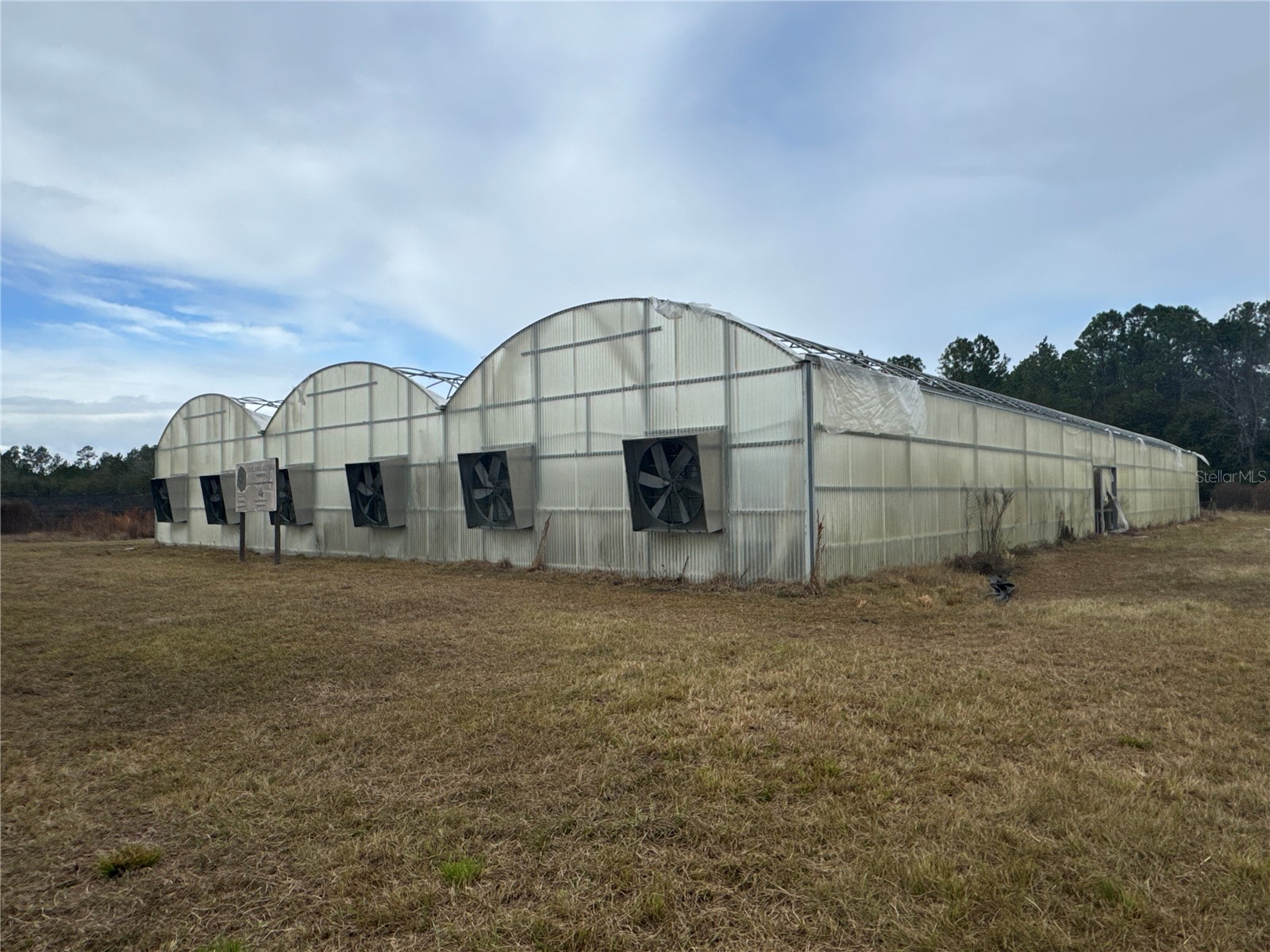 21665 SE 177th Avenue Hawthorne FL 32640 OM715778 image3