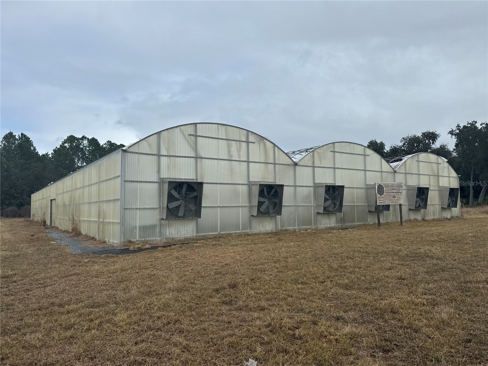 21665 SE 177th Avenue Hawthorne FL 32640 OM715778 image4