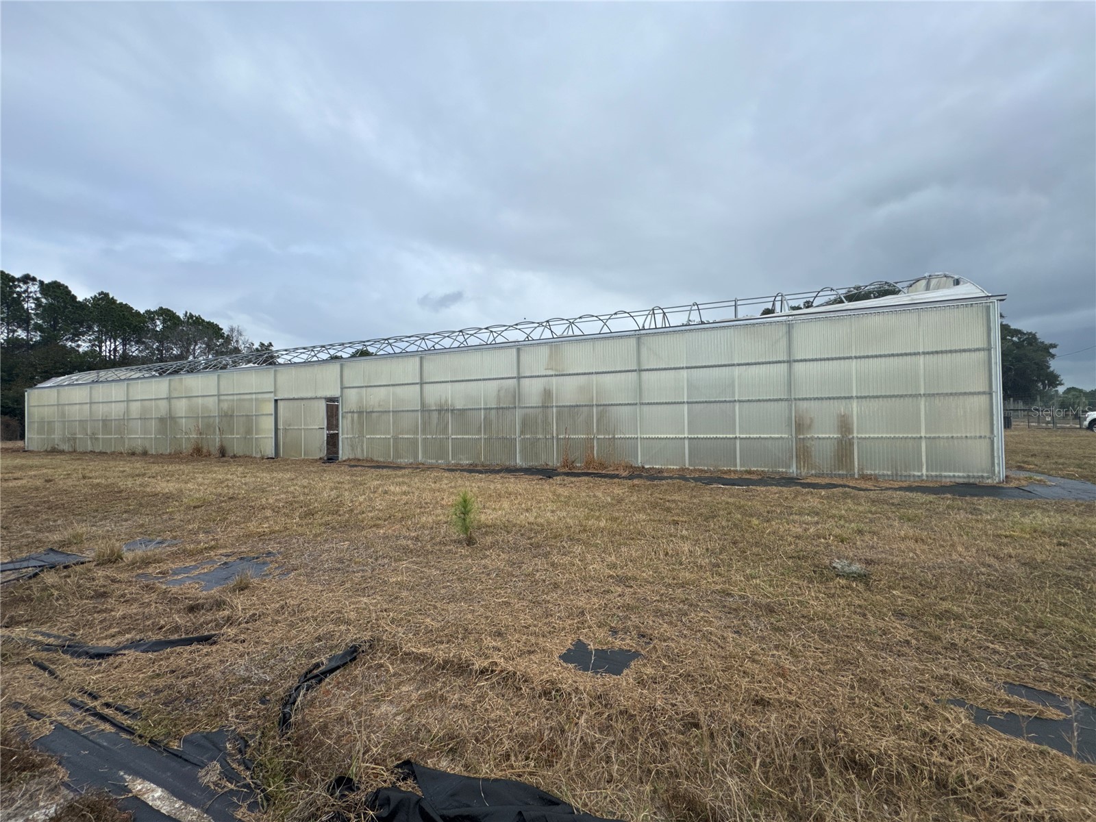 21665 SE 177th Avenue Hawthorne FL 32640 OM715778 image5