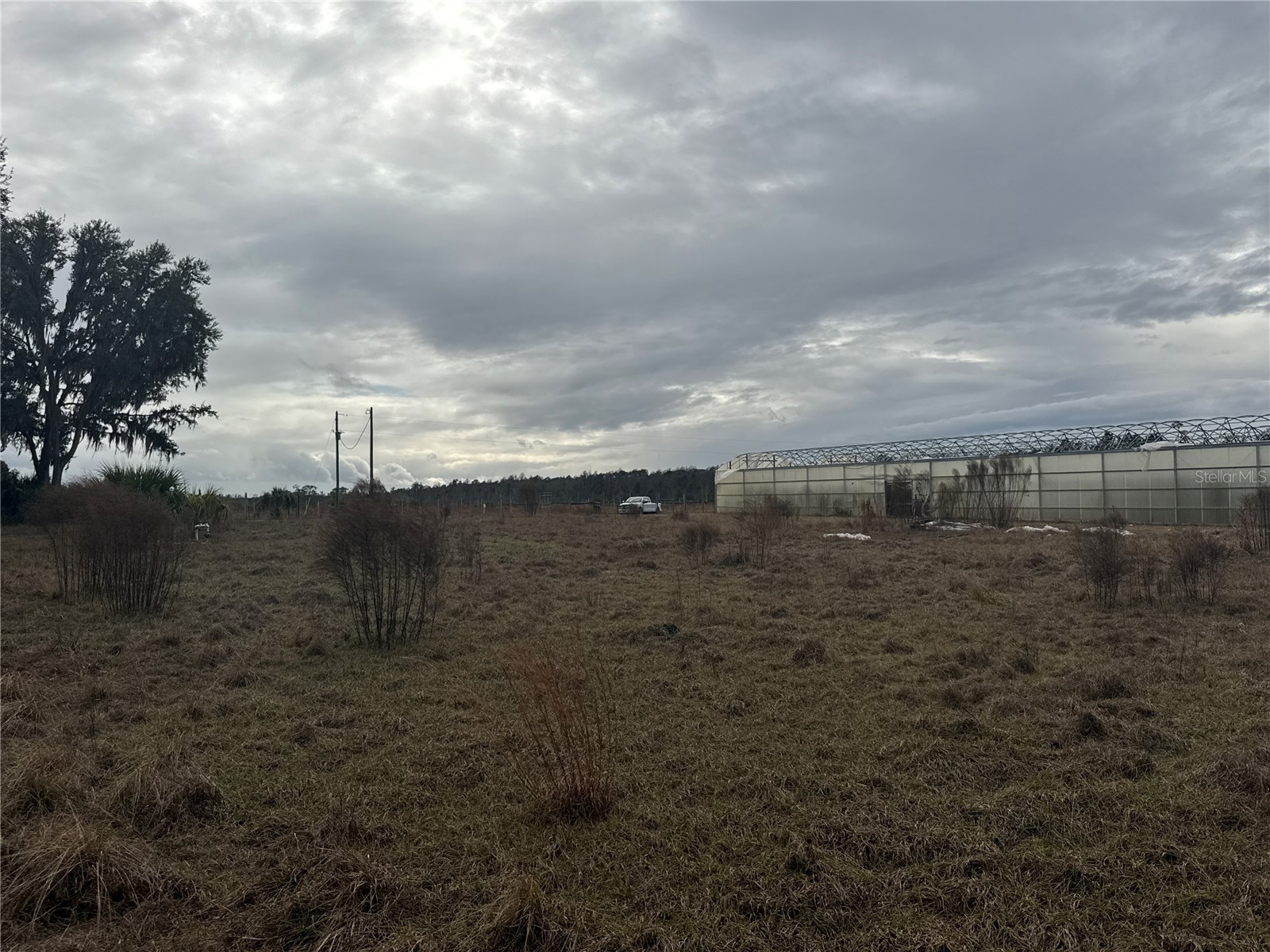 21665 SE 177th Avenue Hawthorne FL 32640 OM715778 image8