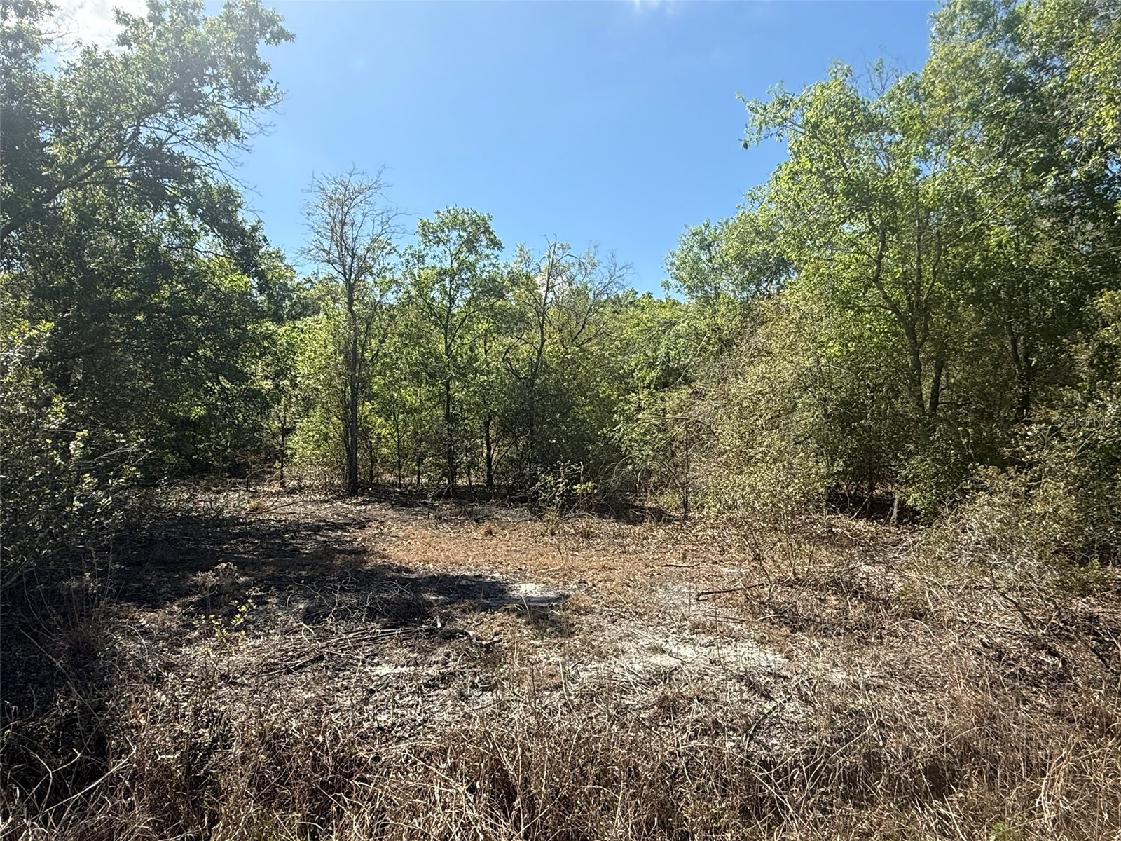 21668 NW 266th Street Okeechobee FL 34972 K4903314 image1