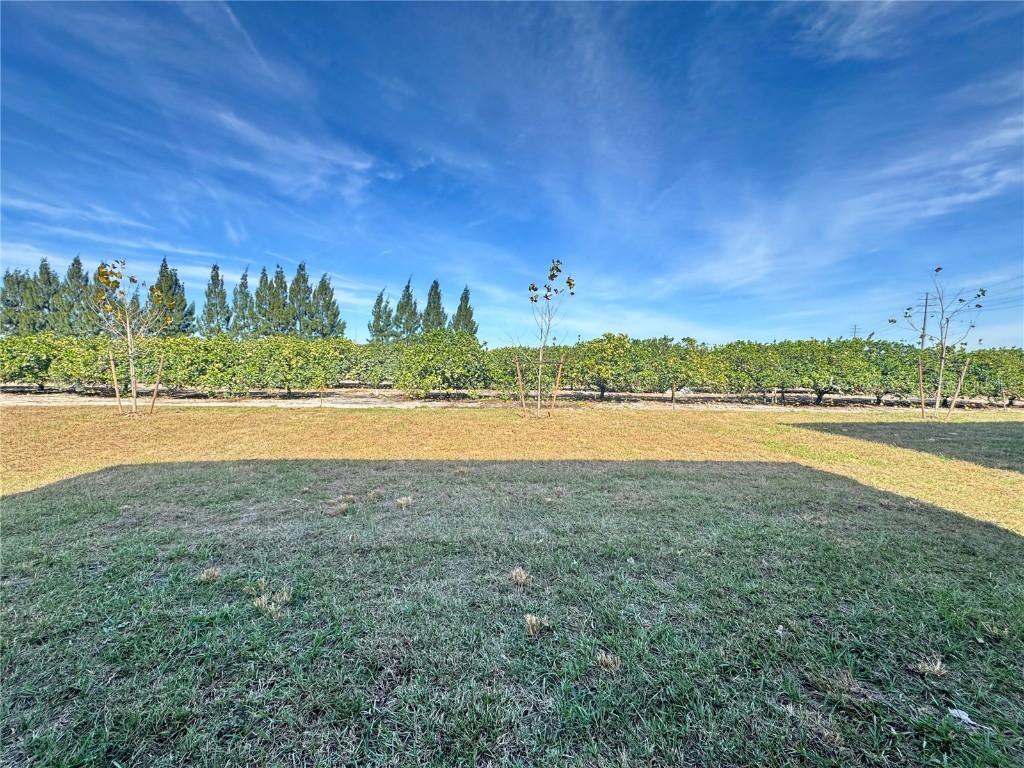 2167 Chris Drive Winter Haven FL 33884 O6359788 image10