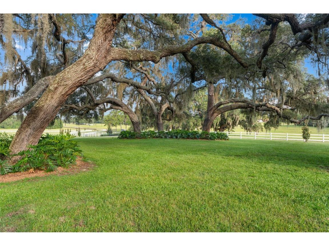 21679 SW 106th Lane Road Dunnellon FL 34431 OM707484 image4