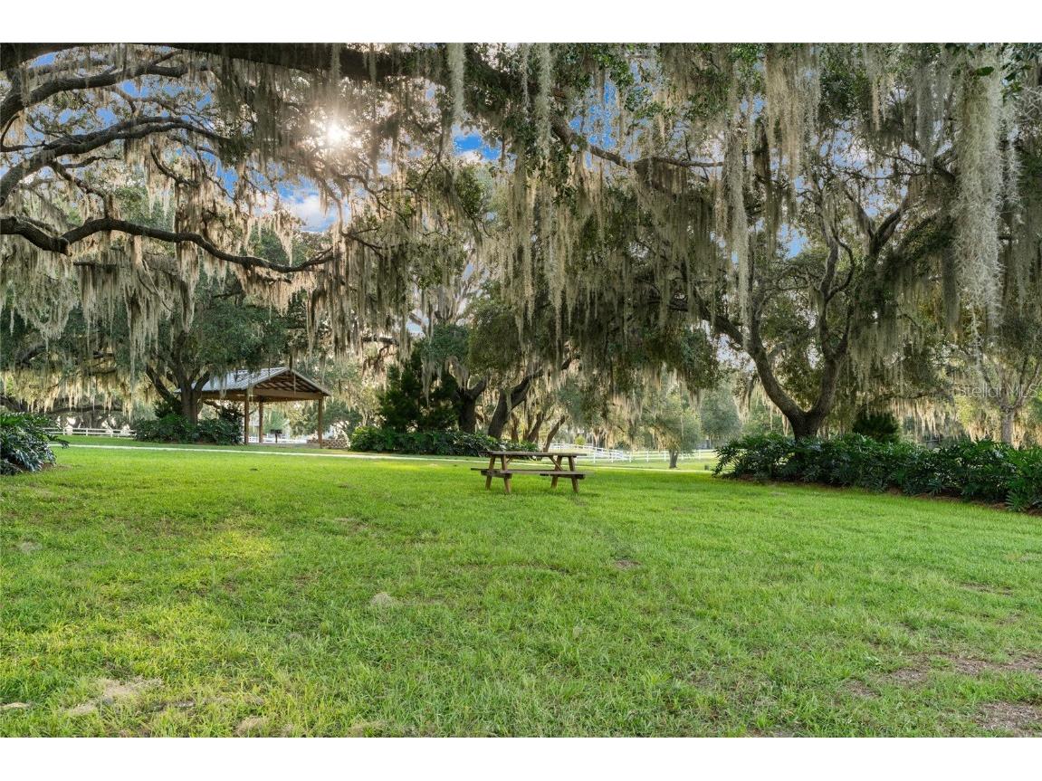 21679 SW 106th Lane Road Dunnellon FL 34431 OM707484 image51