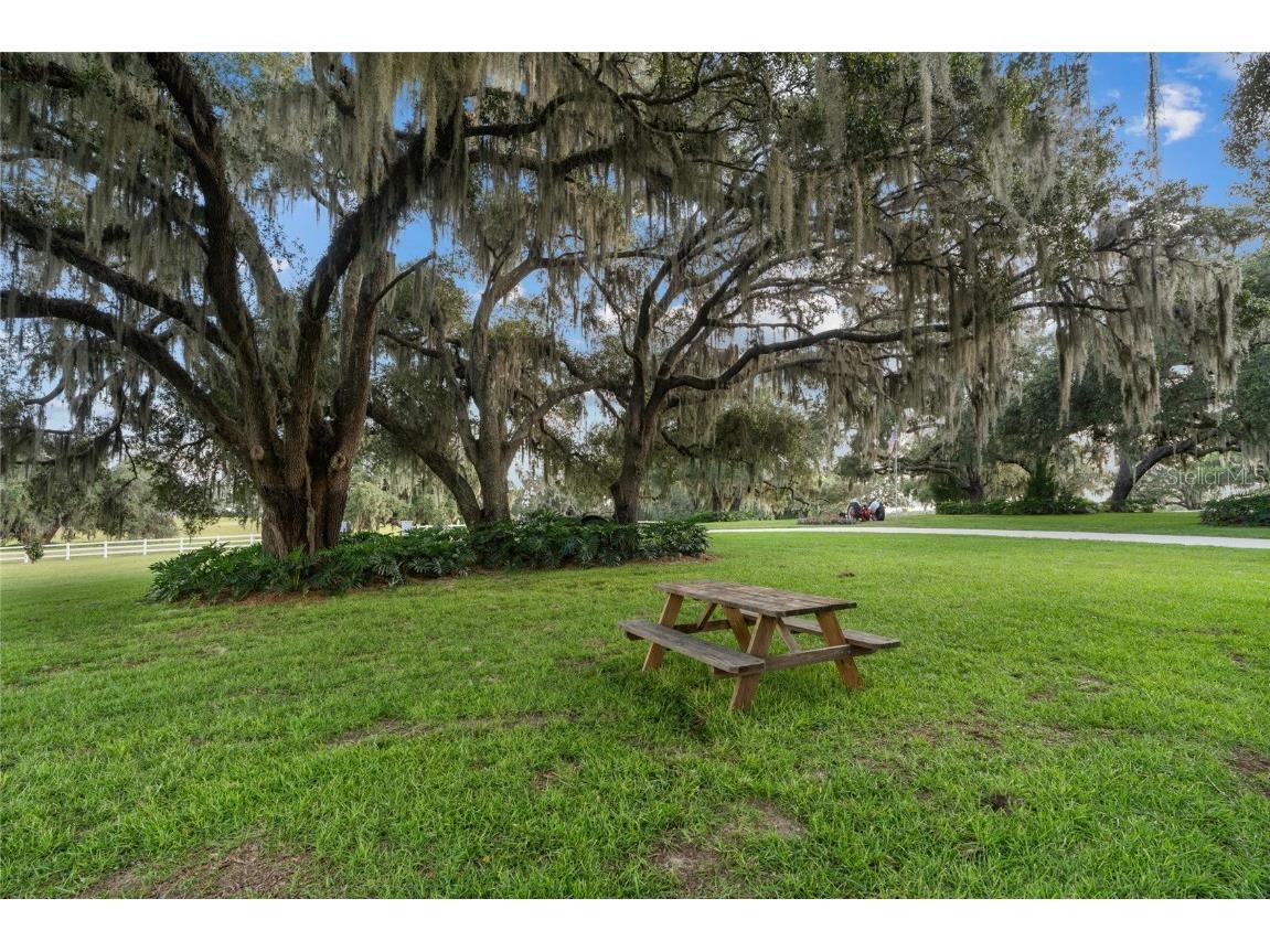 21679 SW 106th Lane Road Dunnellon FL 34431 OM707484 image53