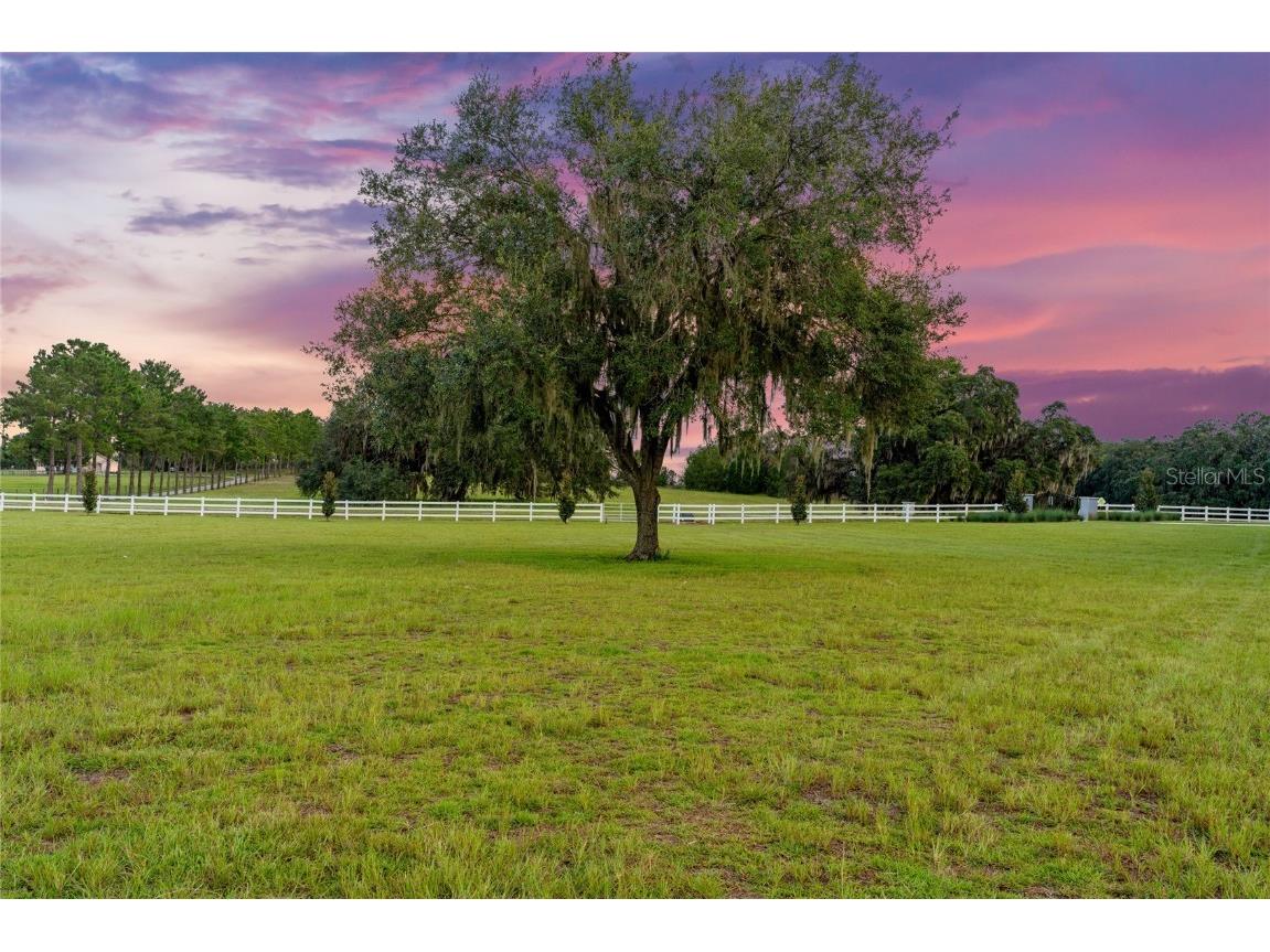 21679 SW 106th Lane Road Dunnellon FL 34431 OM707484 image67