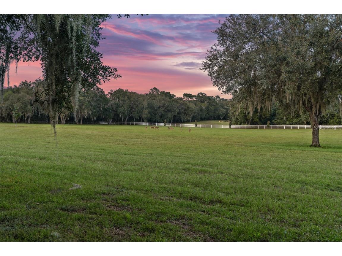 21679 SW 106th Lane Road Dunnellon FL 34431 OM707484 image91