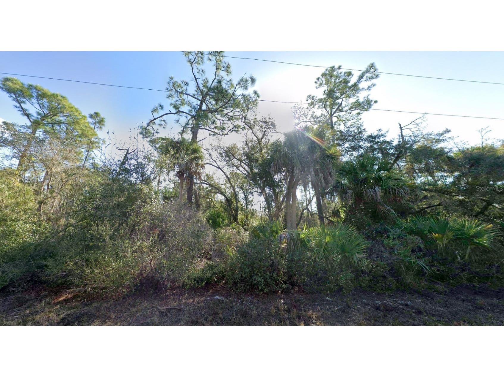 2168 Dorion Street Port Charlotte FL 33948 D6147479 image4