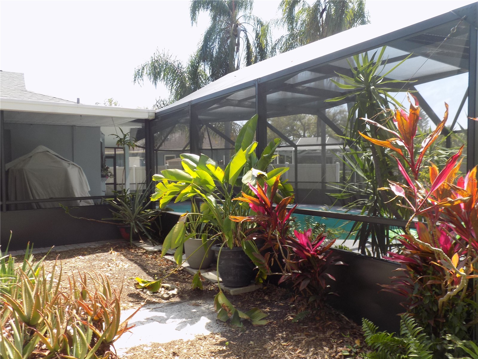 2168 Kent Avenue Clearwater FL 33764 - ALLEN'S CREEK TB8486276 image54
