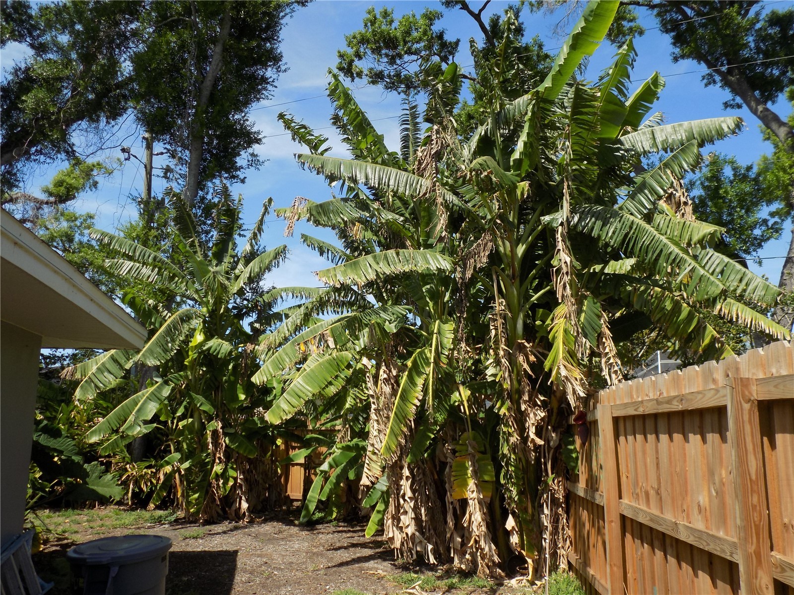 2168 Kent Avenue Clearwater FL 33764 - ALLEN'S CREEK TB8486276 image60