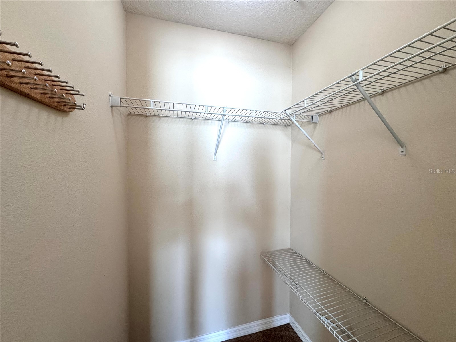 2168 Leather Fern Drive Ocoee FL 34761 O6404215 image15