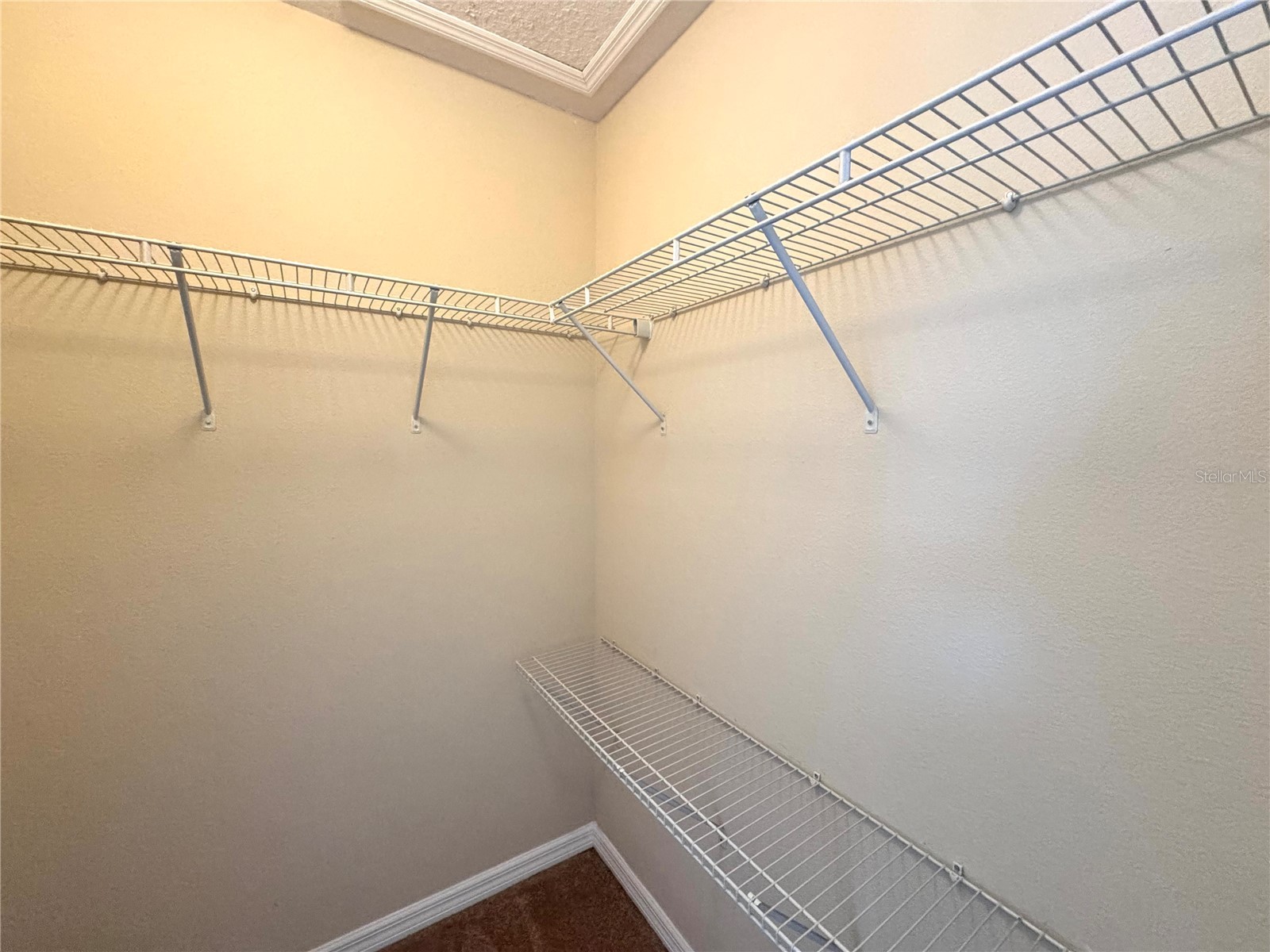 2168 Leather Fern Drive Ocoee FL 34761 O6404215 image17