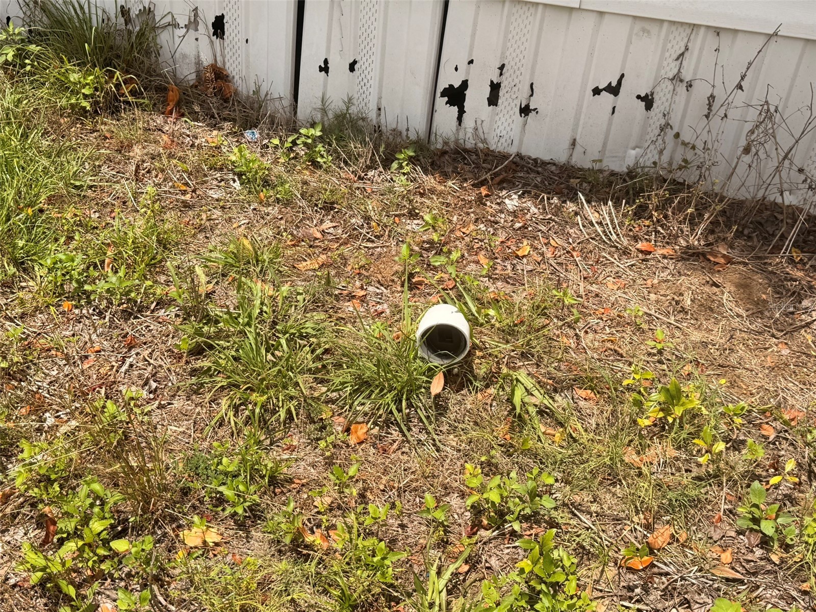 21685 NE 133rd Place Fort Mc Coy FL 32134 A4694834 image2