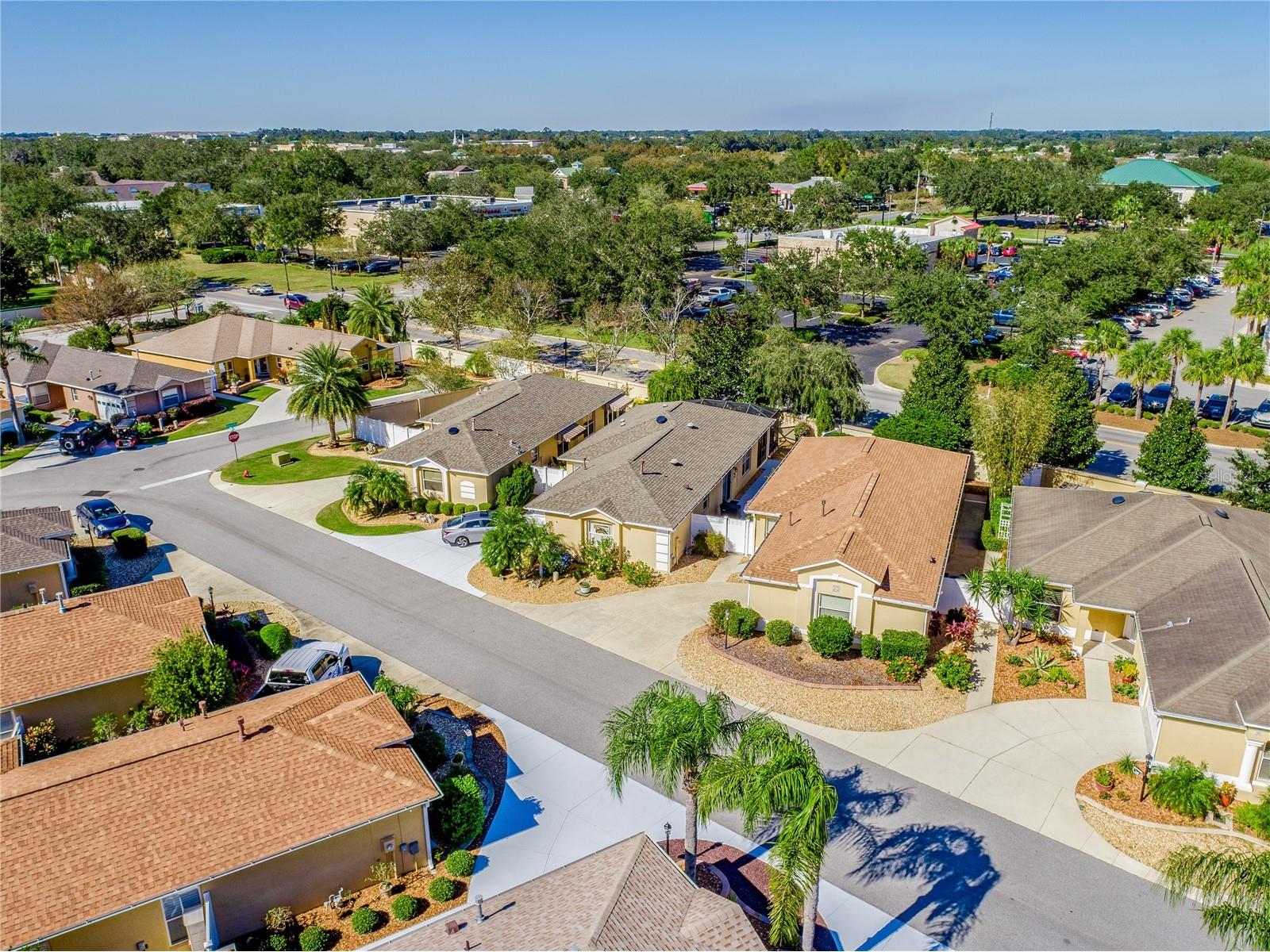 2169 Smoaks Street The Villages FL 32162 O6384783 image25