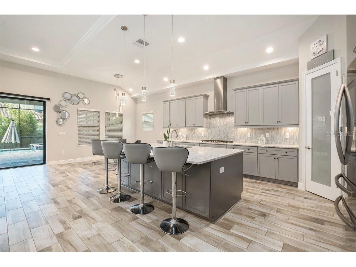 21698 Amelia Rose Way Land O Lakes FL 34637 N6141947 image12