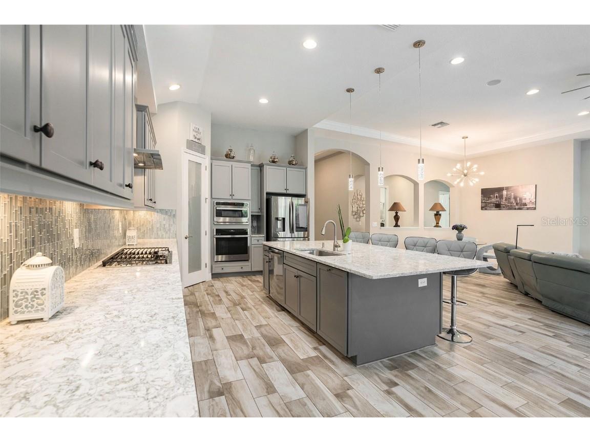 21698 Amelia Rose Way Land O Lakes FL 34637 N6141947 image15