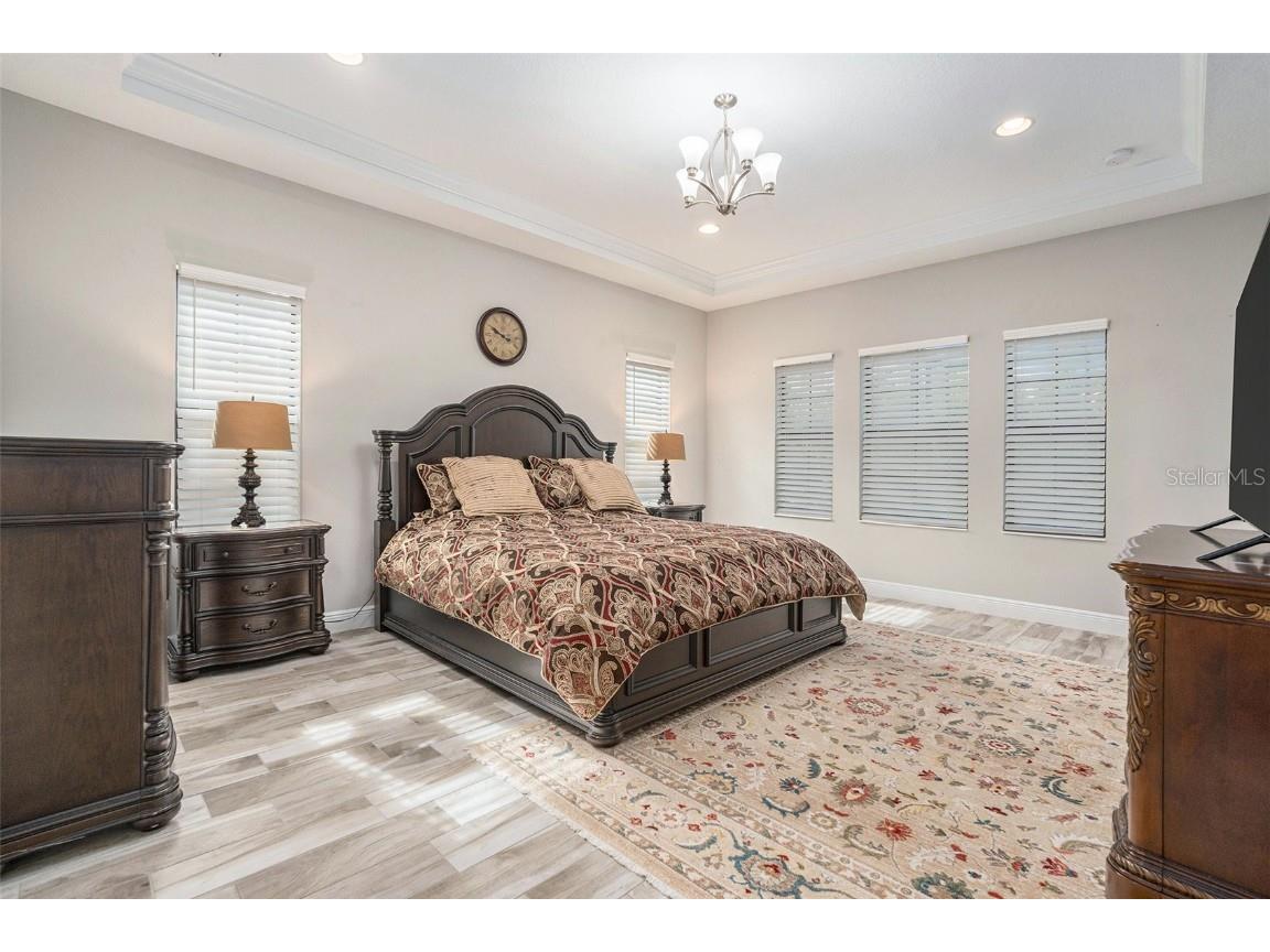 21698 Amelia Rose Way Land O Lakes FL 34637 N6141947 image17