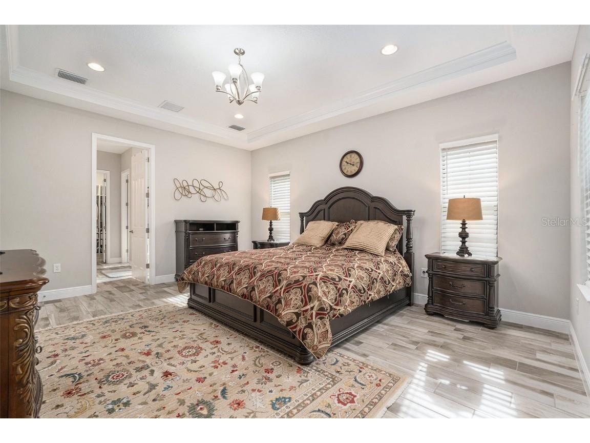 21698 Amelia Rose Way Land O Lakes FL 34637 N6141947 image18