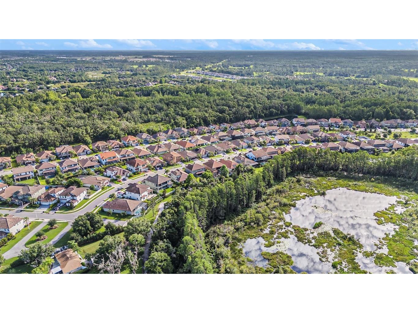 21698 Amelia Rose Way Land O Lakes FL 34637 N6141947 image42