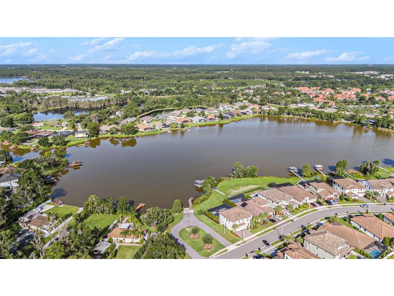 21698 Amelia Rose Way Land O Lakes FL 34637 N6141947 image45