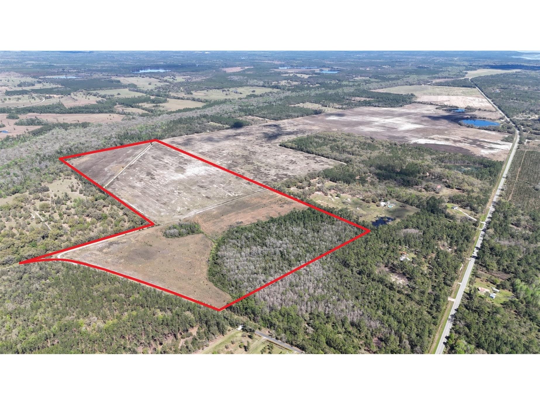 216ac NE 85th Ave Rd Citra FL 32113 OM715229 image1