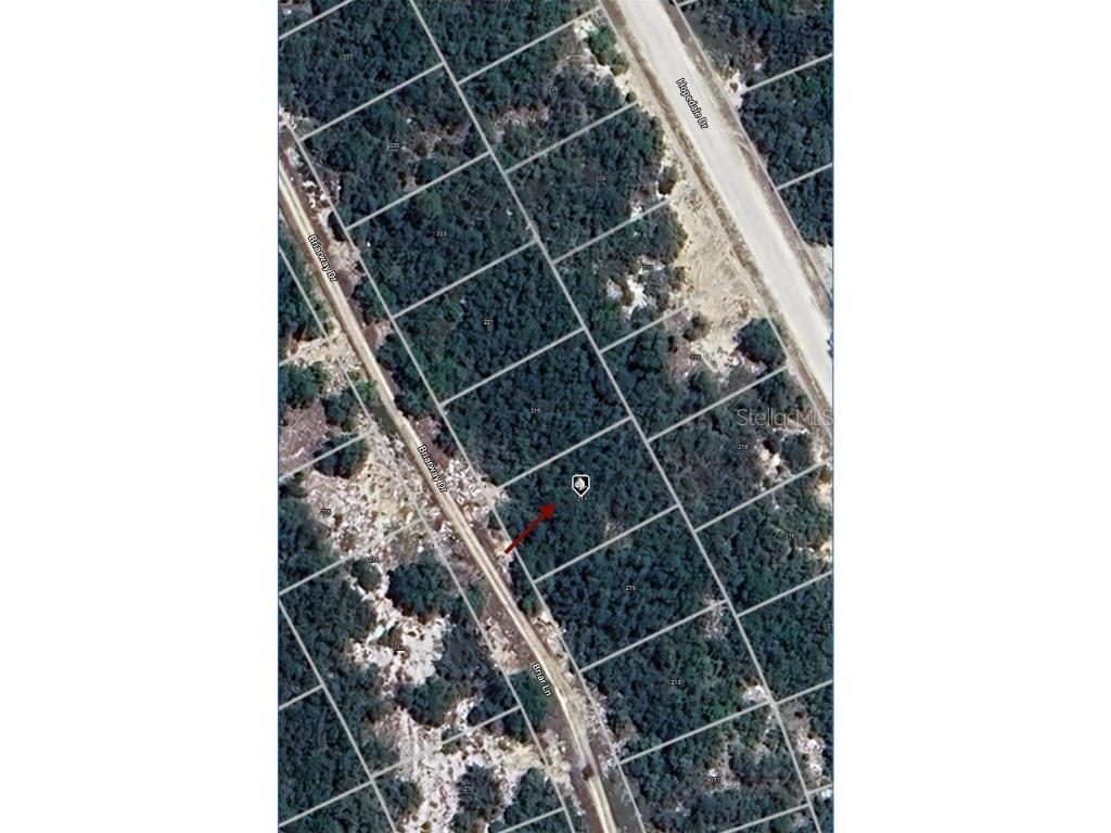 217 Briarway Drive Lake Placid FL 33852 O6238609 image1