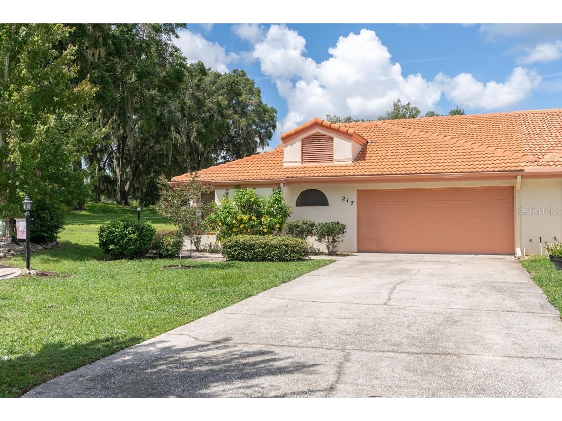 217 Buena Vista Court Inverness FL 34450 OM708920 image1
