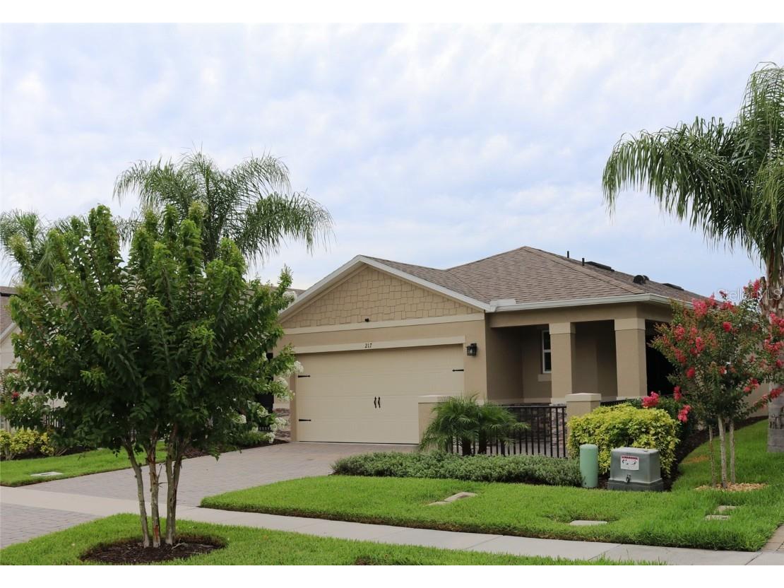 217 Caryota Court New Smyrna Beach FL 32168 NS1082050 image1