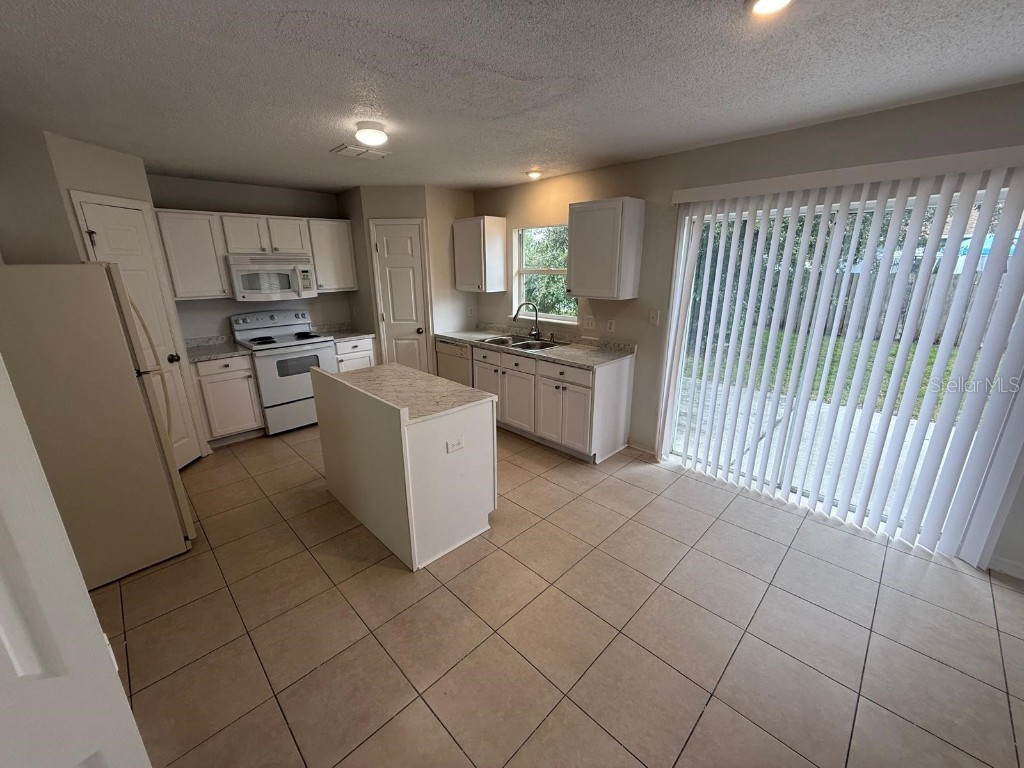 217 Chadworth Drive Kissimmee FL 34758 O6333046 image26