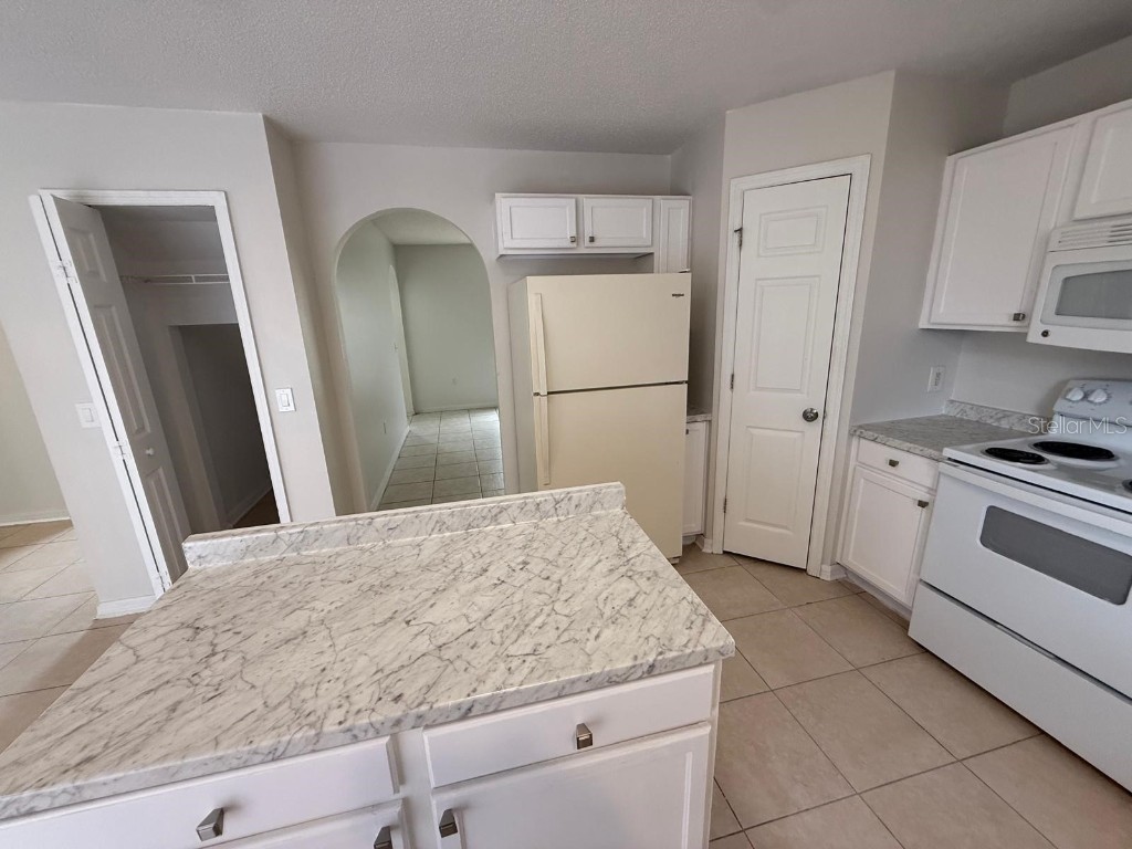 217 Chadworth Drive Kissimmee FL 34758 O6333046 image30