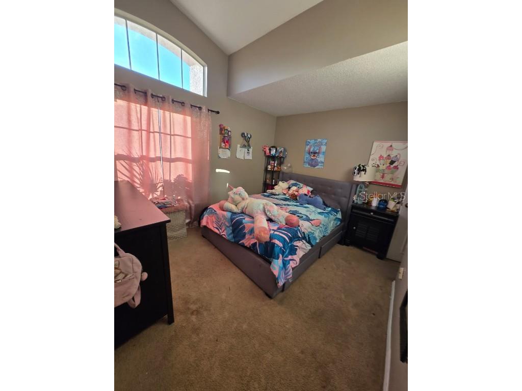 217 Coralwood Court Kissimmee FL 34743 S5136673 image10