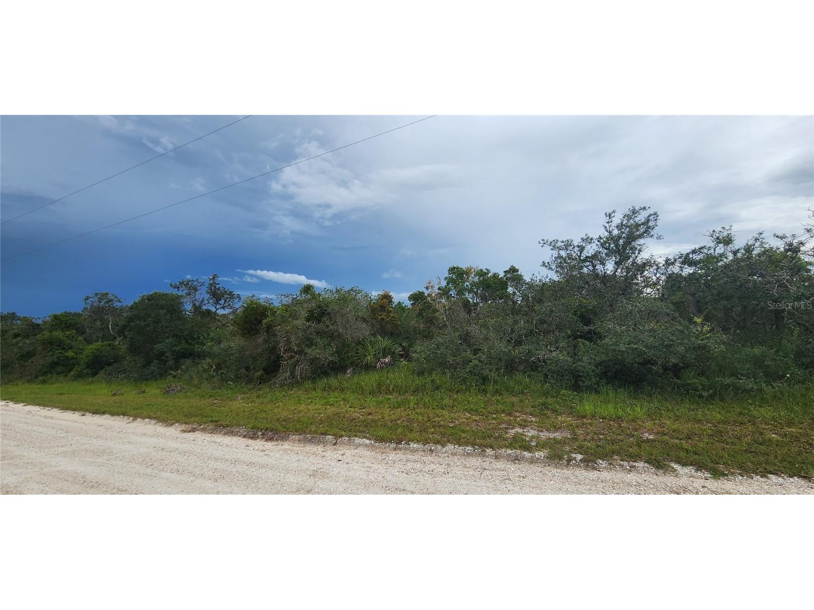 217 Cumberland Street Lake Placid FL 33852 P4926841 image1