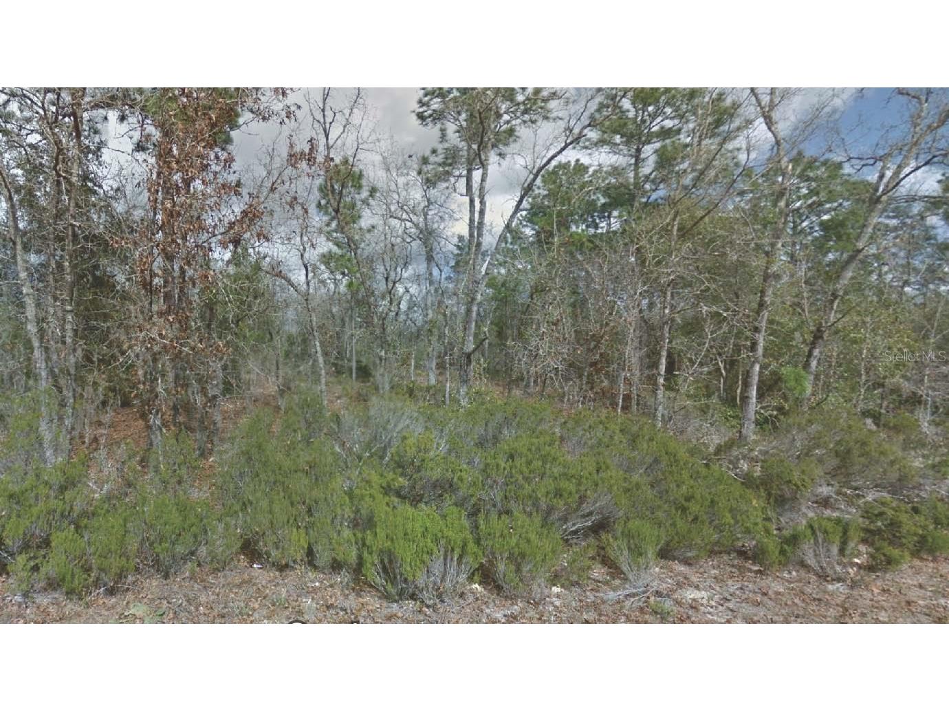 217 Cypress Street Interlachen FL 32148 OM715769 image1