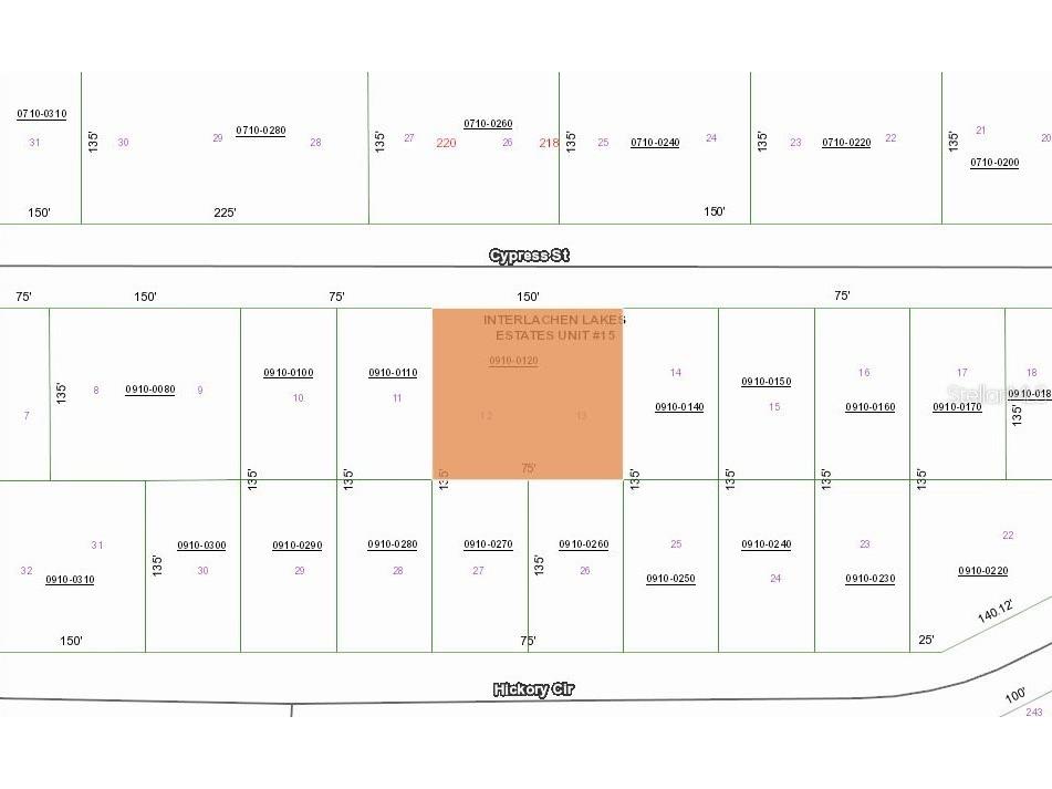 217 Cypress Street Interlachen FL 32148 OM715769 image3