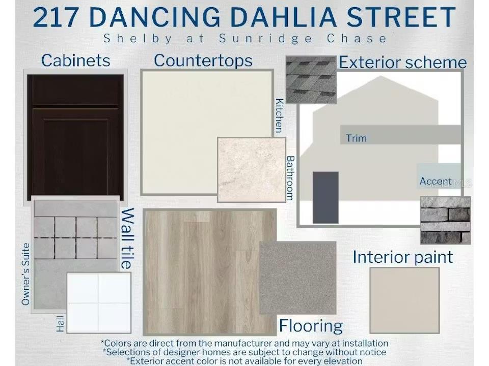 217 Dancing Dahlia Street Ruskin FL 33570 L4960625 image3