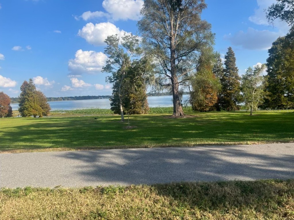 217 E Belmar Street Lakeland FL 33803 L4957416 image3