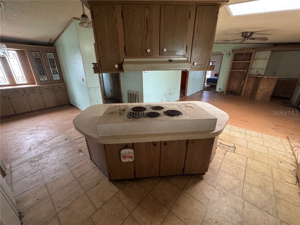 217 Ellsworth Drive Kissimmee FL 34758 O6364232 image10