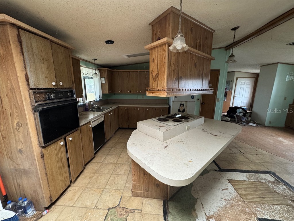 217 Ellsworth Drive Kissimmee FL 34758 O6364232 image7