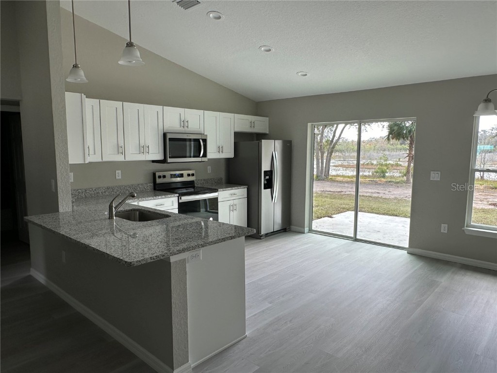 217 Fisher Road Ocklawaha FL 32179 OM708395 image7