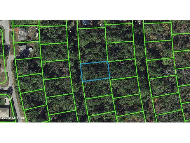 217 Harmony Court Lake Placid FL 33852 OM542049 image1