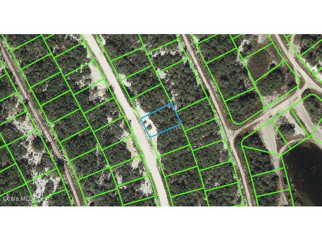 217 Hopedale Drive Lake Placid FL 33852 OM542091 image1