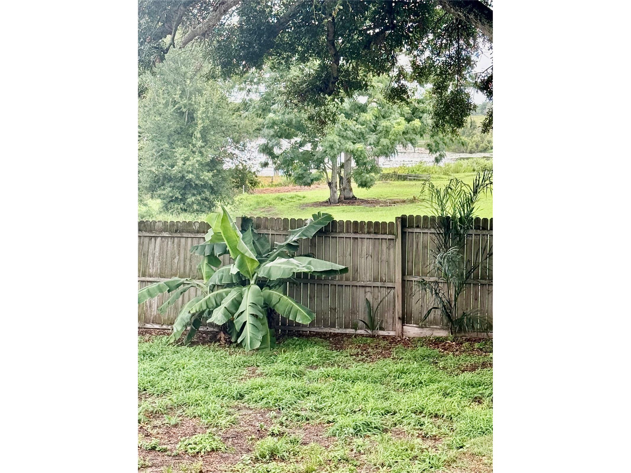217 Kelly Street S Lake Hamilton FL 33851 O6426677 image24