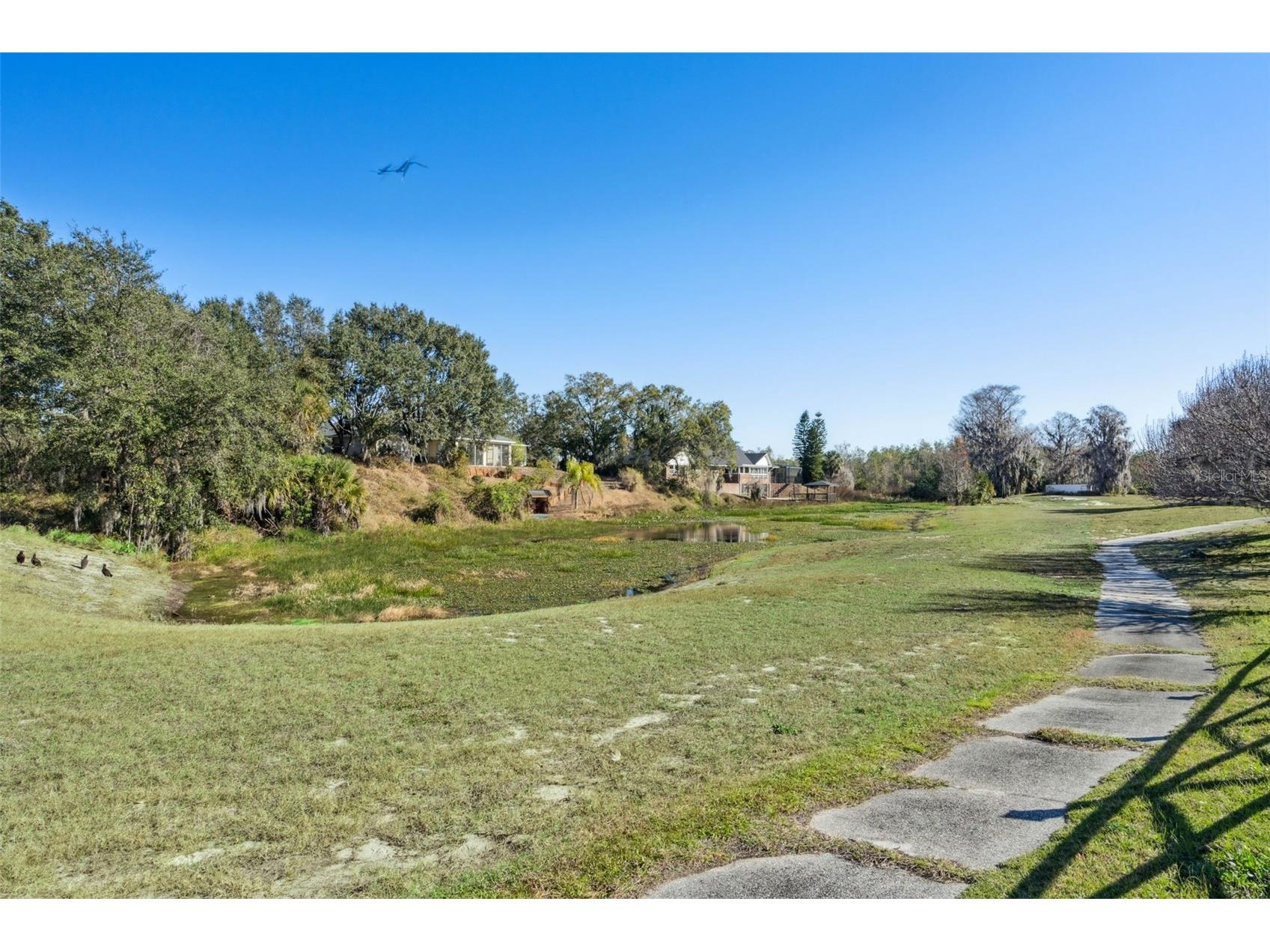 217 Kent Court Haines City FL 33844 S5142121 image38