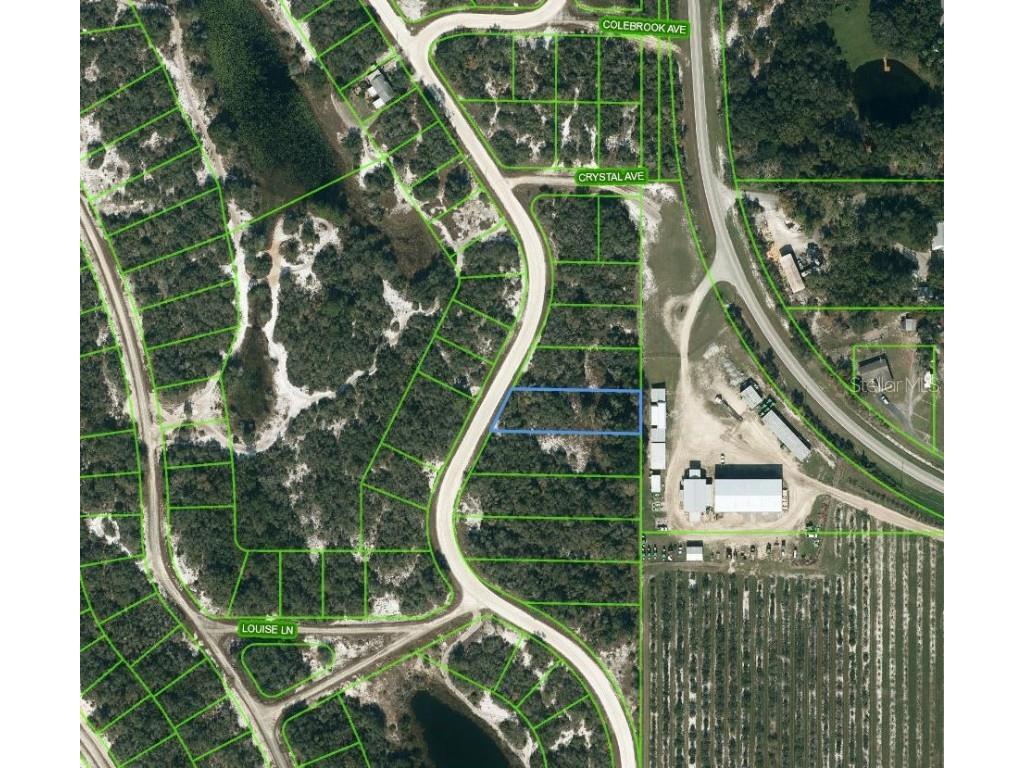 217 Lakeland Drive Lake Placid FL 33852 OM623584 image1