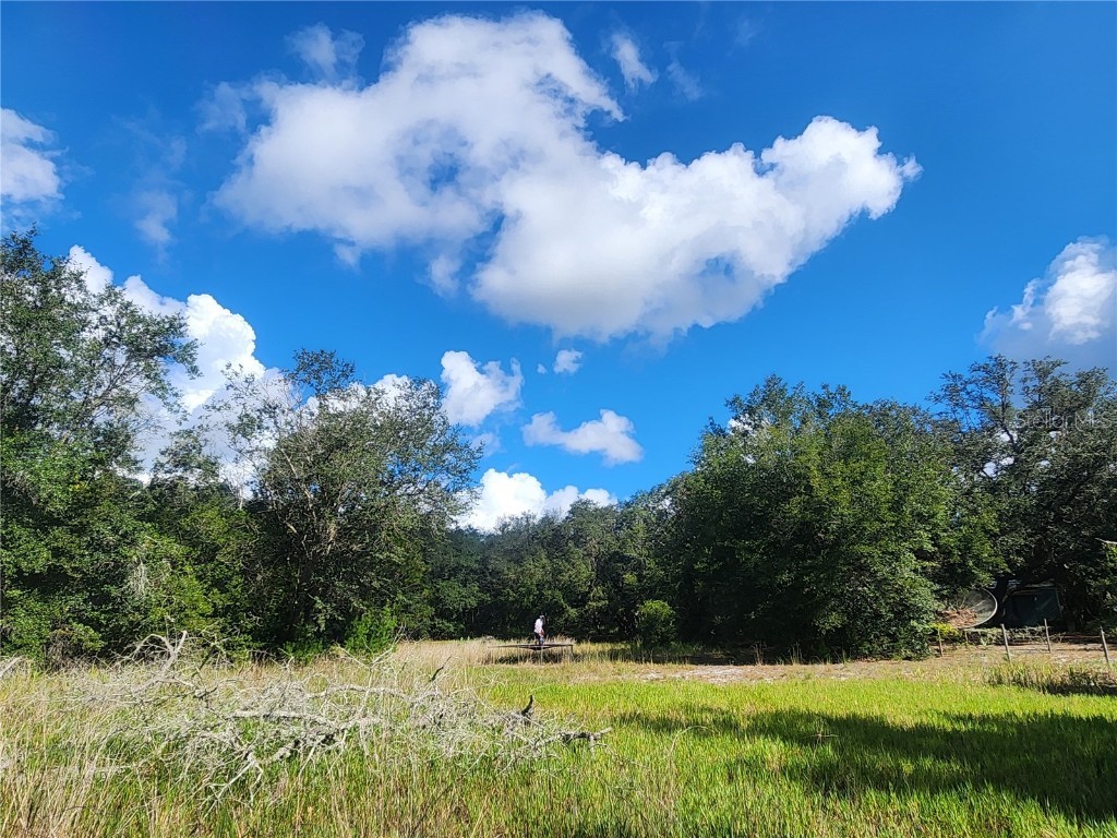 217 Lakeview Drive Melrose FL 32666 - HALFMOON LAKE OM710654 image1