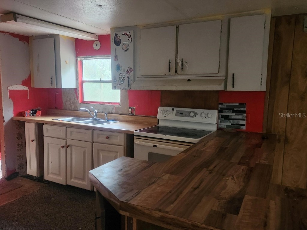 217 Lakeview Drive Melrose FL 32666 - HALFMOON LAKE OM710654 image11