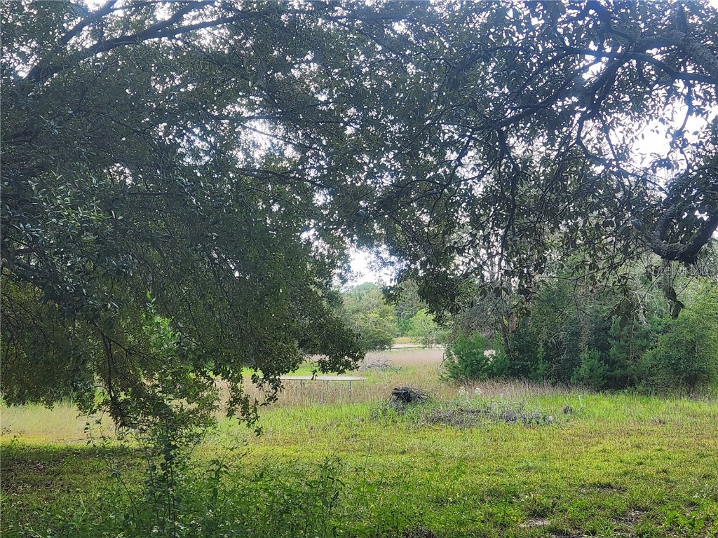 217 Lakeview Drive Melrose FL 32666 - HALFMOON LAKE OM710654 image2