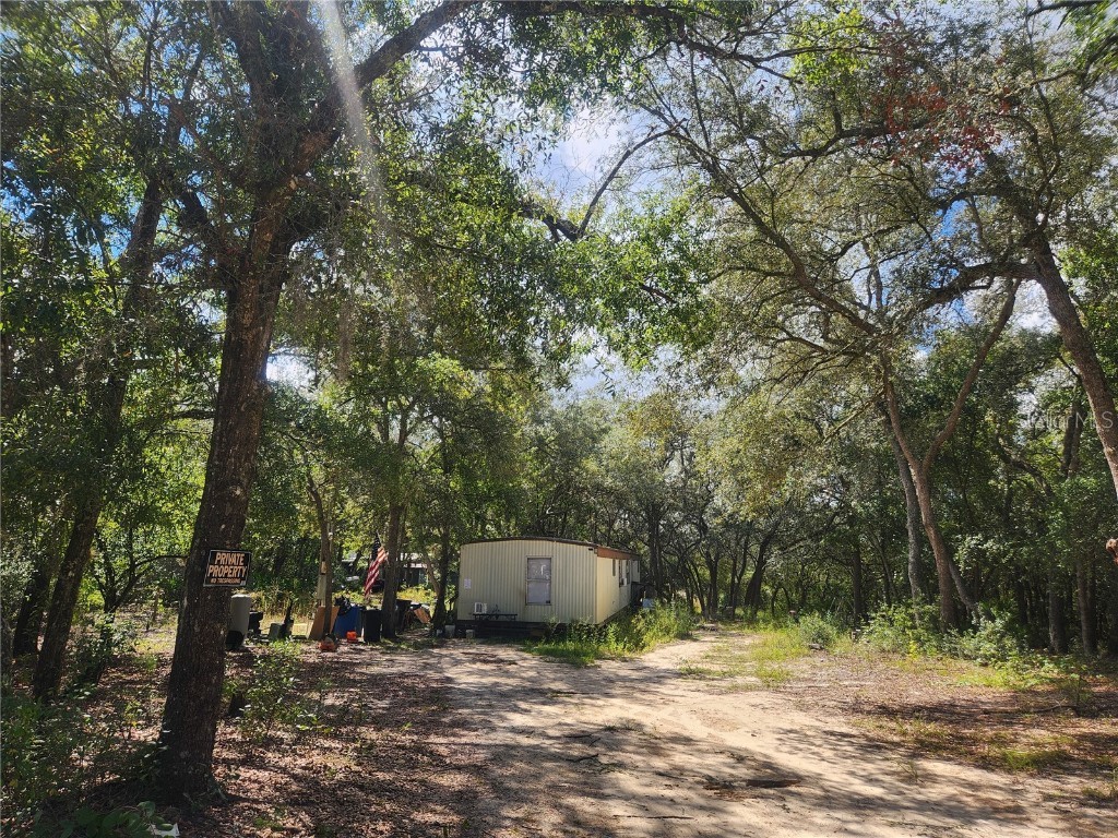 217 Lakeview Drive Melrose FL 32666 - HALFMOON LAKE OM710654 image22